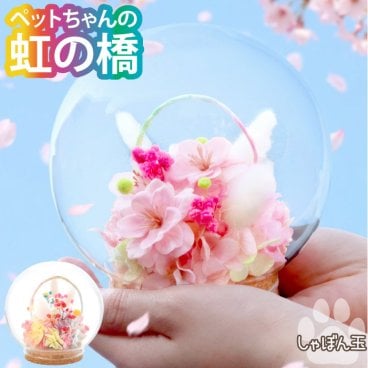 【 送料無料 】【 プリザ ペットちゃんの『虹の橋』しゃぼん玉 】ペット お供え プリザーブドフラワー 仏花 ガラスドーム 愛犬 愛猫 線香 ろうそく セット 初盆 新盆ドーム アレンジ お悔やみ 贈り物 ペット供養 手元供養 ペット仏壇 お供え物