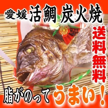 【送料無料】☆愛媛　活鯛　炭火焼　１ｋgアップ☆【お食い初め　鯛】【祝い鯛】【祝い飾り付き】【鯛の塩焼き】【尾頭付き】 