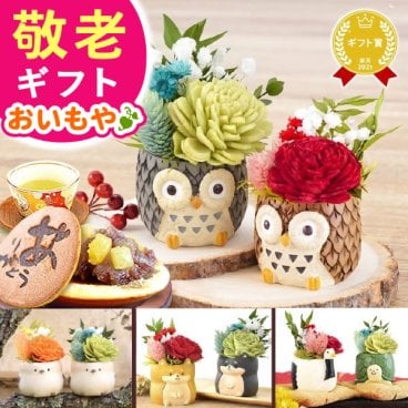 敬老の日 即日発送 誕生日 プレゼント 花 ギフト プリザーブドフラワー アニマル 動物 ペア ミニ 小さい かわいい おしゃれ ふくろう 犬 猫 バラ 薔薇 一輪 セット どら焼き どらやき 送料無料 スイーツ お菓子 和菓子 ギフトセット 母 実母 自分の母 義母 妻 40代 50代 60代 70代 花セット 花とお菓子 おいもや 誕生日期間 翌日配送 不可