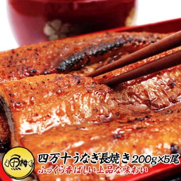 うなぎ 蒲焼き 国内産 1kg 高知県四万十産ウナギ超特大サイズ長焼き 5尾×約200g 【敬老の日/ギフト/2026/贈答/プレゼント/国産/鰻】