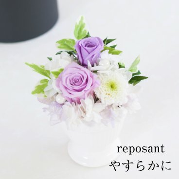プリザーブドフラワー 仏花 ミニ 仏壇用 小さい お供え 花 【ルポゾン】 フラワー アレンジメント パープル 紫 お悔やみ 四十九日 49日 法事 法要 1周忌 一周忌 初七日 七回忌 命日 おしゃれ お盆 初盆 新盆 ブリザードフラワー プリザードフラワー プリザーブド ギフト メッセージカード 即日発送 送料無料
