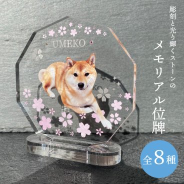 写真入り ペットメモリアル位牌 桜 ストーン 選べる8デザイン 8mm厚 アクリル 名入れ 名前 日付 メッセージ 犬 猫 うさぎ 鳥 インコ ハムスター 小動物 愛犬 愛猫 愛鳥 遺影 ペット供養 手元供養 仏具 お悔やみ お供え ペットロス 虹の橋 思い出 メモリアルグッズ オーダーメイド オリジナル かわいい おしゃれ 卓上 飾り 写真 プレゼント ギフト 贈り物 日本製 記念品 花柄