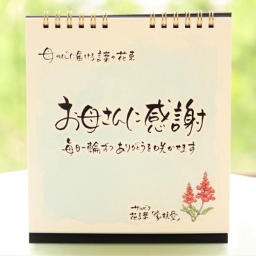 【母の日ギフト】涙を流すお母様続出｜「お母さんに感謝」感動を贈る特別な日めくり｜誕生日・結婚式などにも