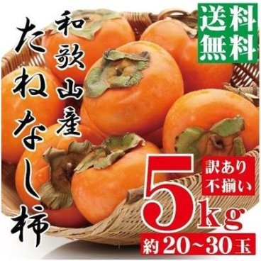 【予約販売】【送料無料】種なし柿　和歌山県産 訳あり たねなし柿 5kg 　ご自宅用の平核無柿 平種柿 ひらたねかき サイズ不揃い 傷あり 脱渋処理済み ※9月下旬頃より順次発送