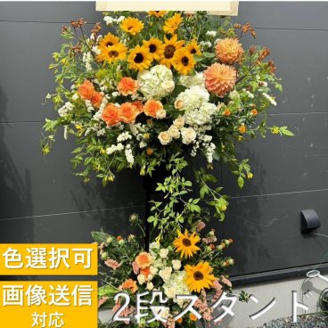 【全国対応】6色から選べる2段お祝いスタンド花【フラワースタンド】お祝い 開業祝い 発表会 誕生日 ギフト プレゼント 式典 コンサート ライブ　スタンド　花
