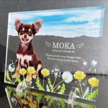 写真入り ペットメモリアルプレート たんぽぽ｜選べるデザイン 全4種 犬 猫 愛犬 愛猫 ペット メモリアルグッズ 写真 かわいい オーダーメイド オリジナル 遺影 仏具 位牌 ペット供養 記念品 文字入り フォト 思い出 手元供養 供養 鳥 うさぎ 金魚 カナリア トイプードル チワワ ハムスター 写真立て アルバム ペットロス 刻印 名入れ ペットグッズ プレゼント ギフト 贈り物
