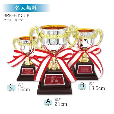 優勝カップ 高さ21cm～16cmの３サイズ！ 樹脂製 記念品 ゴルフ 野球 サッカー バスケット バレー 音楽 トロフィー 箱付き