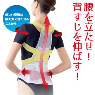 【日本製】 お医者さんの腰から正す姿勢ベルト 【背筋 背中 姿勢 腰 サポーター サポート 背筋矯正 姿勢矯正 グッズ　アイテム 猫背 矯正 グレー 通気 猫背矯正ベルト 男性 女性 実用的 健康 グッズ 大人 雑貨】
