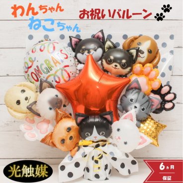 卒業 卒園 開店祝い ペット 犬 猫 バルーン バルーンギフト バルーン電報 卓上  名入れ  花 祝電 電報 フラワー サロン 猫ペットサロン 動物病院 トリミングサロン ドッグカフェ お祝い 光触媒 プレゼント フラワーギフト バルーンフラワー 風船 dogcat1230