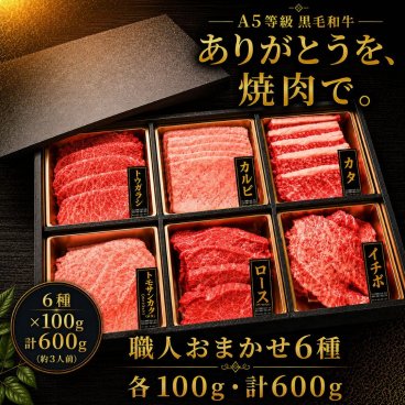 A5等級 黒毛和牛 6種焼肉 食べ比べセット（600g）3人前