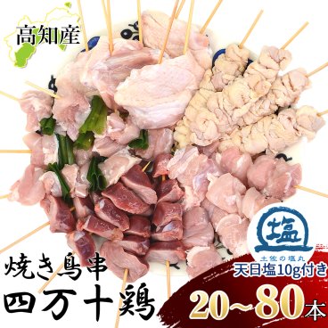 焼き鳥 四万十鶏 オススメ 20本 40本 80本セット 30g 40g(5種入り) 土佐の塩丸 天日塩付き 鳥肉 四万十鳥 食べ比べ 国産 しまんと鶏 鶏肉 串 串焼き 焼き鳥串 焼鳥 やきとり 高知産 もも肉 むね肉 ささみ 砂肝 鶏皮 ねぎま 手羽串 アウトドア キャンプ BBQ [冷凍便]【送料無料】[ヤマト発送]
