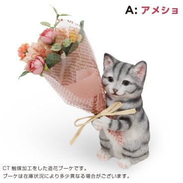 【プレゼント ギフト】 CT ミニョンブーケ アメリカンショートヘアー 【有料ラッピングサービス選べます】
