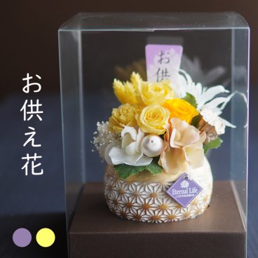 お供え プリザーブドフラワー【あさのは】仏花　供花 仏壇 お悔み 花 お悔やみ 花  お悔やみアレンジメント お供え 花 お供え あす楽 仏壇用 プリザーブドフラワー　お花 仏壇 枯れない 花 一周忌 四十九日　お盆 新盆 初盆 お彼岸 法事 ブリザードフラワー クリアケース付き　仏花