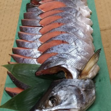 越後村上名産 塩引鮭 1尾分を三枚卸し (仕上り1.7kg前後の鮭を使用) 【送料無料】【新潟 小針水産】