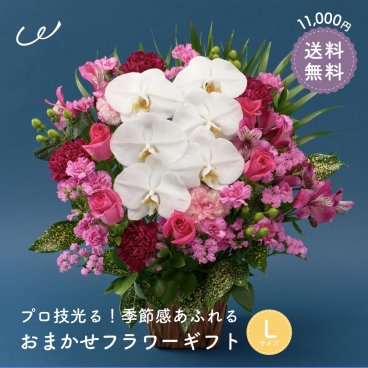 【プロ技光る】季節感あふれるフラワーギフトL 生花 10000円台 送料込み 胡蝶蘭 シンビジウム シンビジューム 誕生日 花 ギフト プレゼント女性 送料無料 女性 アレンジメント プレゼント 即日発送 お祝い 花束 ブーケ プレゼント 結婚記念日 結婚祝い 開店祝い 定年 退職祝い おまかせ フラワー 