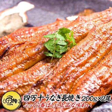 高知県四万十産 うなぎ 超特大サイズ 蒲焼き 長焼き 400g 2尾×約200g 【敬老の日/ギフト/2026/プレゼント/贈答/海鮮/国産/ウナギ/鰻/土用の丑の日/高級】