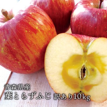 青森県産 葉とらずふじ ご家庭用10kg (約28〜36個) 人気の訳ありリンゴ 青森産 訳あり サンふじ りんご 林檎