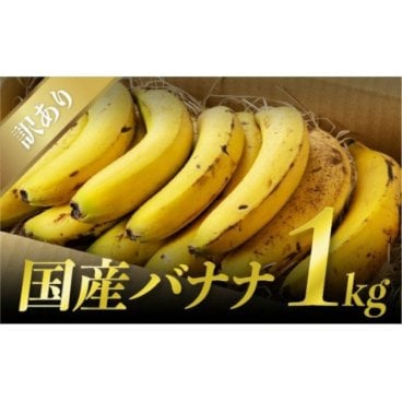 宮崎産農薬不使用「皮まで食べても安心バナナ」訳あり1kg詰め合わせセット（約８前後入り）フルーツ