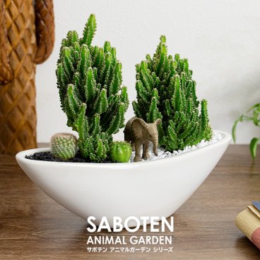 アニマルガーデン　フィギュアが選べる 寄せ植え セレウス 電磁波サボテン 舟形大タイプ