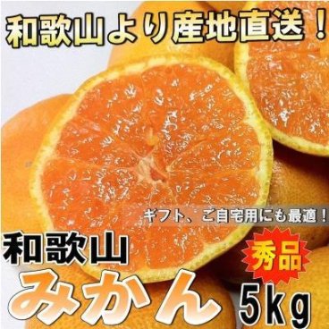 【予約】和歌山県産 みかん ミカン 秀品 5kg 【送料無料】 ※10月中旬以降より発送開始