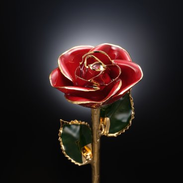 最高級のギフト～本物の薔薇と２４金～レッドローズ～　