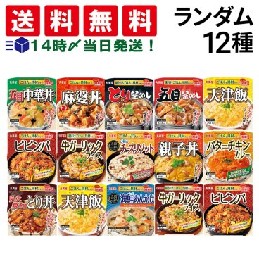 【 送料無料 】 丸美屋 どんぶり ごはん付き 12種 ランダム 食べ比べ 詰め合わせ アソート セット まとめ買い