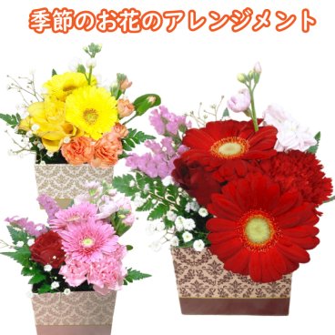 お花 ギフト 花 1500円 ミニアレンジメント ミニギフト 卒園 卒業 送別 昇進 誕生日 女性 女性用プレゼント ピンク パープル 花ギフト アレンジメント ボックス お祝い 開店祝い 開業祝い 移転祝い 還暦 フラワーギフト お花の プレゼント