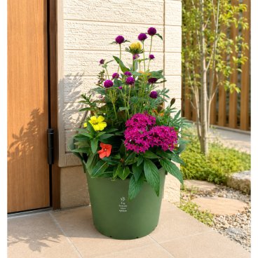 季節の寄せ植え La nature ハンドリーポット 内径24cm （グリーン・4色展開）６～7種類のお花で構成 鉢植え ラッピング不可 ギフトメッセージOK