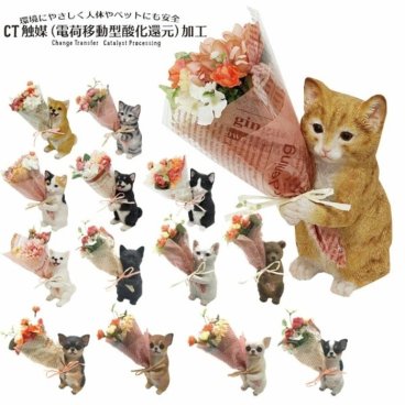 犬好き 猫好き ねこ好き ネコ好き フラワーギフト CT光触媒 枯れない花 プレゼント 女性 バラ ブーケ 動物好き 30代 40代 50代 60代 送料無料