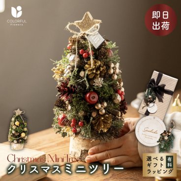 【名入れ可能】 クリスマスミニツリーオブジェ クリスマスツリー スペシャルセット クリスマスミニツリー フラワーギフト インテリア 装飾 ディスプレイ 壁掛け プレゼント