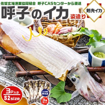 旅サラダ TVで紹介／ 呼子のイカ｜呼子 剣先いか姿造り（S2サイズ）× 合計3P | 約150～199g（1個あたり） CAS凍結 高級 剣先いか イカそーめん お刺身 天ぷらでも 姿造り 呼子漁港直送