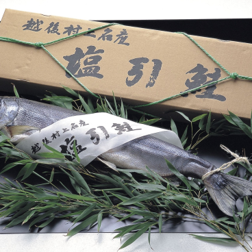越後村上名産 塩引鮭 一本物(仕上り1.7kg前後) 【送料無料】【新潟 小針水産】