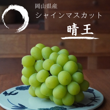 岡山 シャインマスカット＜晴王＞1房【送料無料】_GM229-160__フルーツ/果物/お中元