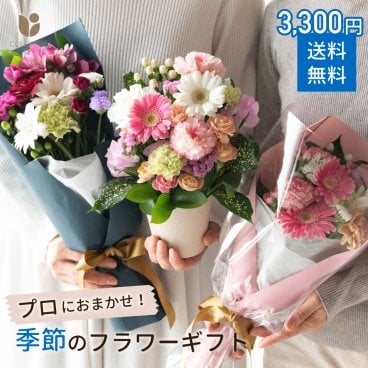 【プロ技光る】季節感あふれるフラワーギフトS 生花 3000円台 送料込み 誕生日 花 ギフト プレゼント女性 送料無料 女性 アレンジメント プレゼント 即日発送 女性 母 妻 バラ お祝い 花束 ブーケ プレゼント 結婚記念日 結婚祝い 開店祝い 定年 退職祝い おまかせ フラワー