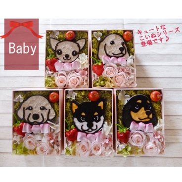 プリザーブドフラワー「Baby Animal」ギフト お祝い プレゼント 誕生日 花 犬 猫 ペット プリザーブドフラワーボックス フラワーボックス ボックスフラワー 父の日