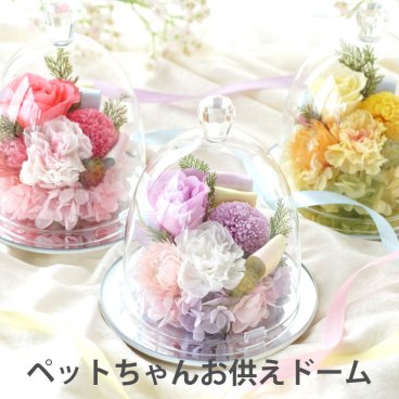 【 送料無料 】【 ペットちゃんの虹の橋 お供え花ドーム 】 お悔やみ 花 ペット お彼岸 お供え プリザーブドフラワー 仏花  ガラスドーム ミニ 仏壇用 犬 贈り物 ペット供養 猫 お供え花 おしゃれ 枯れない仏花 供養花 ギフト 四十九日 一周忌 お供え物 プリザ 鳥 ブリザーブド