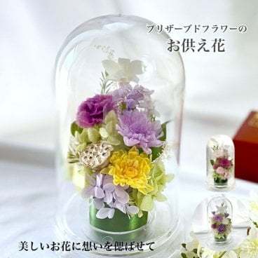 仏花 プリザーブドフラワー 菊蓮 初盆 盆花 ドーム型 お悔やみ 花 法要 法事 お盆花 初盆 お彼岸花 お供え 初彼岸 周忌 四十九日 初七日 仏壇 対 ご霊前 ご仏前 蘭