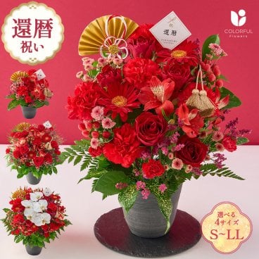 祝！還暦「紅」60歳のお祝い アレンジメントS M L LL 生花 花市場から直送  父の日 お祝い 誕生日 記念日