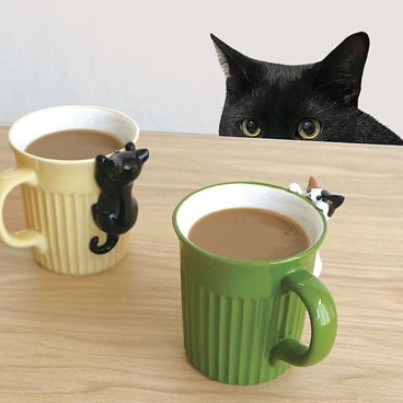 にらめっこ猫マグ