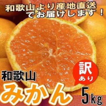 【予約】 和歌山県産 訳あり みかん ミカン 5kg (傷あり サイズ不揃い ご自宅用) 【送料無料】 10月下旬以降より発送開始