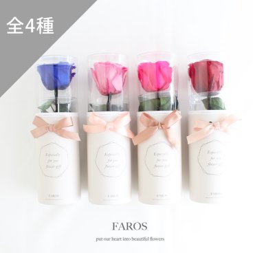 エスペシャリーローズ プリザーブドフラワー 11時まで即日出荷 一輪 1輪 シングル ローズ バラ 薔薇 ケース入り ギフト プレゼント 誕生日 母の日 おしゃれ 結婚 記念日 結婚祝い お祝い ノベルティ 記念品 卒業 卒園 離任 退職 開店 新築 プロポーズ 告白 ハナミーツ