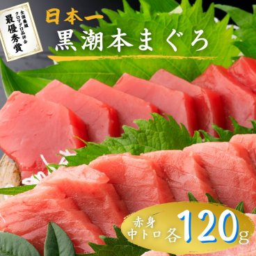 最優秀賞受賞 黒潮本まぐろ 赤身・中トロ 各120g セット 高知 土佐 大月町 冷凍 養殖 本鮪 黒鮪 マグロ 丼 刺身 寿司 ギフト プレゼント 化粧箱 自宅用 お中元 御中元 お歳暮 御歳暮 母の日 父の日 敬老の日 その他魚介類・水産加工品