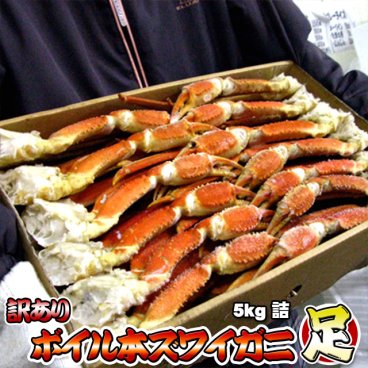 訳あり ボイル 本ズワイガニ 足 5kg 脚 ずわいがに脚 業務用 ボイル 送料無料 ※沖縄県は送料別途加算