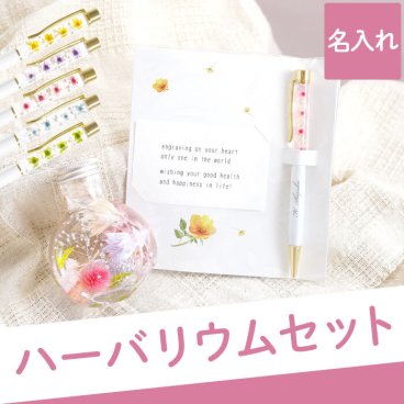 【 送料無料 】【 名入れ ハーバリウム ペンとマカロン ハーバリウム セット 】 プレゼント 女性 誕生日 30代 40代 50代 60代 70代 ボールペン おしゃれ かわいい 名前入り 名入り ギフト 女友達 母 妻 祖母 就職 卒業 退職 記念品 贈り物 おすすめ お祝い