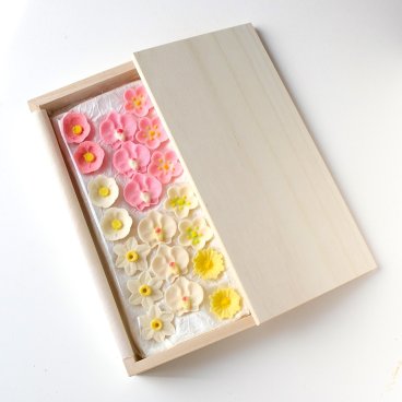 落雁 「花暦 一月の花」 水仙、福寿草、胡蝶蘭(紅白)、梅(紅白)、椿(紅白)【和菓子】【和菓子詰合せ】【お歳暮】【干菓子】【和三盆】【贈り物】