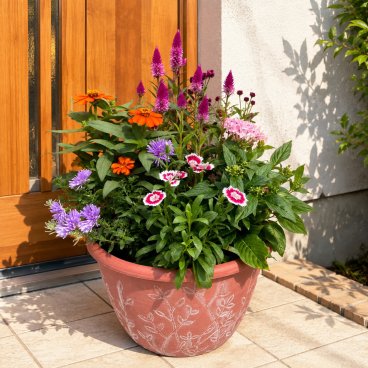 季節の寄せ植え リーフ柄 軽量プラスチック鉢 内径24cm  （レッド ・4色展開）６～7種類のお花で構成 ラッピング不可 ギフトメッセージOK