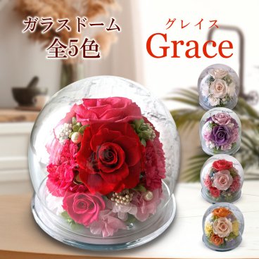プリザーブドフラワー プレゼント ガラスドーム 女性 誕生日 プレゼント 30 40 50 代 花 記念日 名入れ ブリザードフラワー プリザードフラワー 結婚祝い 結婚記念日 退職祝い 送別会 結婚式 電報 還暦祝い 長寿祝い お祝い 贈り物 御礼 バラ カーネーション お供え お悔やみ お見舞い ラウンド｜ フローリストレマン グレイス