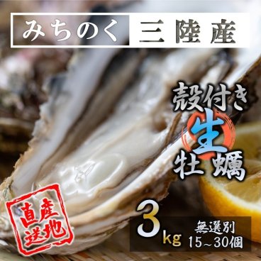 生食OK カキ みちのく 三陸産 殻付き 生牡蠣 3kg（15～30個）今季初出し 希少 ワケあり 数量限定 お届け指定可能 亜鉛No.1 新鮮 石巻 産地直送 ミネラル アミノ酸 たっぷり 焼く 鍋 かき フライ 様々なお料理にも 魚介類