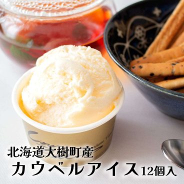 北海道大樹町産カウベルアイスクリーム12個セット アイスクリーム・シャーベット