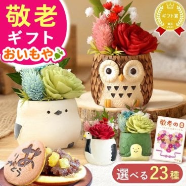 敬老の日 すぐ贈れるギフト 即日発送 誕生日 プレゼント ギフト 花 フラワーギフト プリザーブドフラワー ミニ 動物 アニマル フラワーアレンジメント バラ 薔薇 一輪 ふくろう 犬 猫 かわいい おしゃれ どら焼き 送料無料 スイーツ お菓子 和菓子 母 実母 自分の母 義母 妻 40代 50代 60代 70代 花セット 花とお菓子 2000円 3000円
